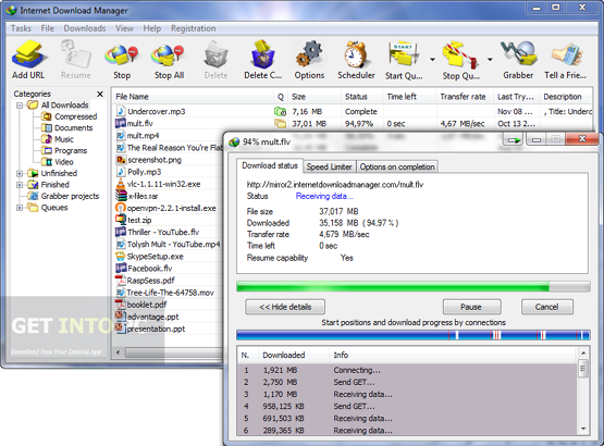 Image result for Internet Download Manager 6