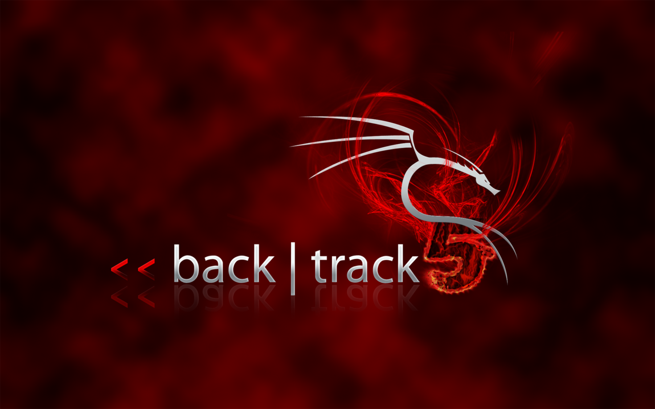 metatrader 5 for linux backtrack