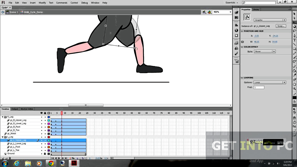 Adobe Flash Animation Full