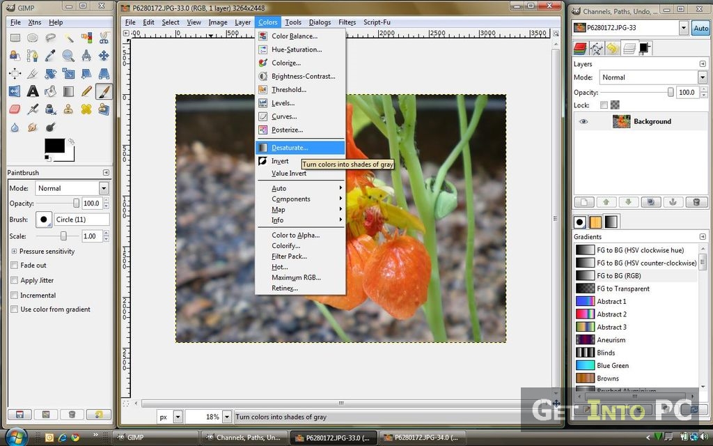 Gimp Photo Editing Software For Mac