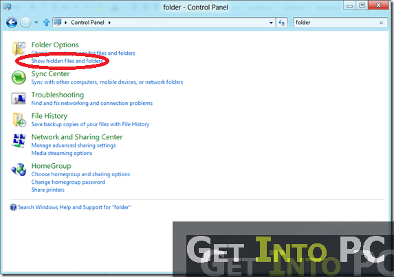 How To Show Hidden Files in Windows 8