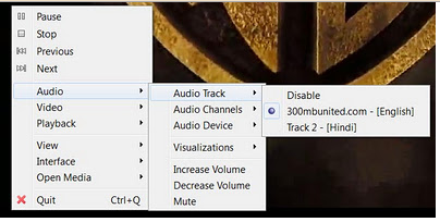 How To Play Dual Audio Movies