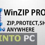 WinZip PRO Free Download