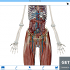 Visible Body Human Anatomy Atlas Free