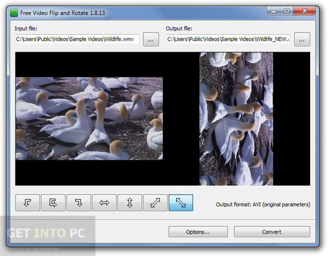 Free Video Flip and Rotate Direct Link Download