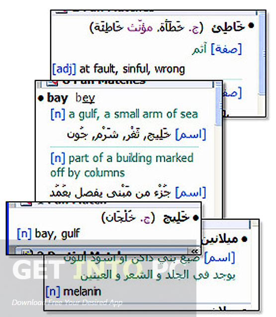 VerAce Pro English Arabic Dictionary Offline Installer Download