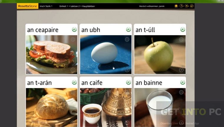 Rosetta Stone Irish with Audio Companion Direct Link Download