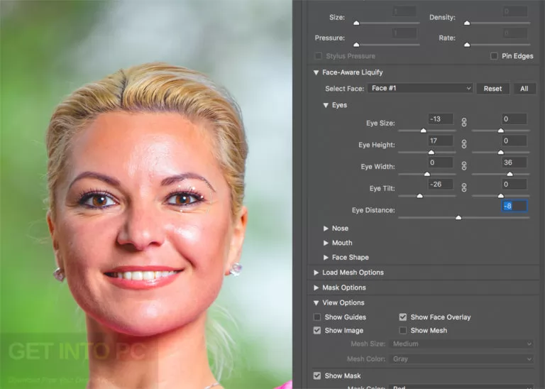 تحميل Adobe Photoshop CC 2017 Portable مفعل مجانا 4
