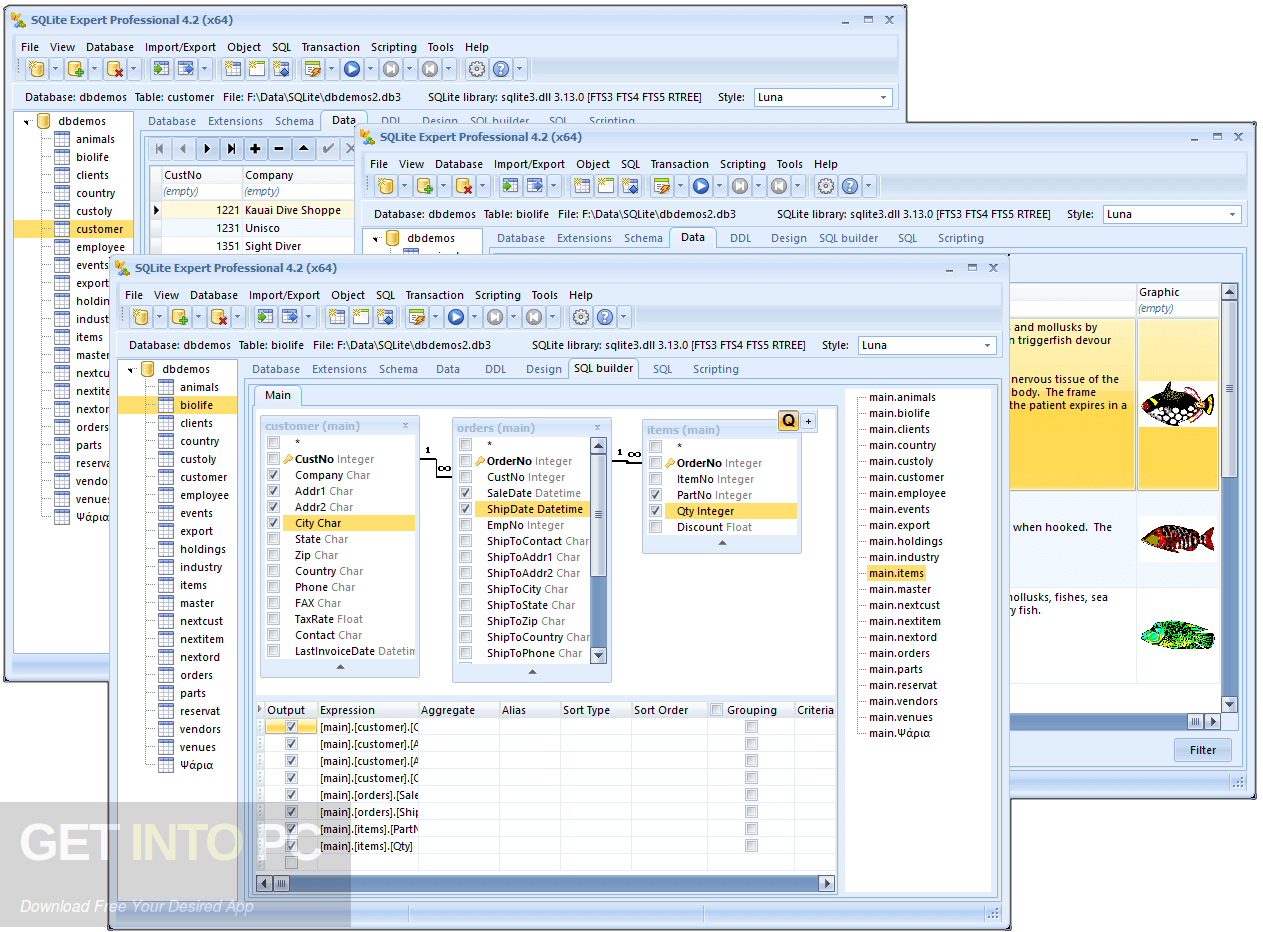 SQLite Expert Professional Edition Offline Installer Download
