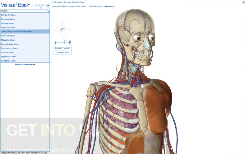 Visible Body Anatomy and Physiology Latest Version Download