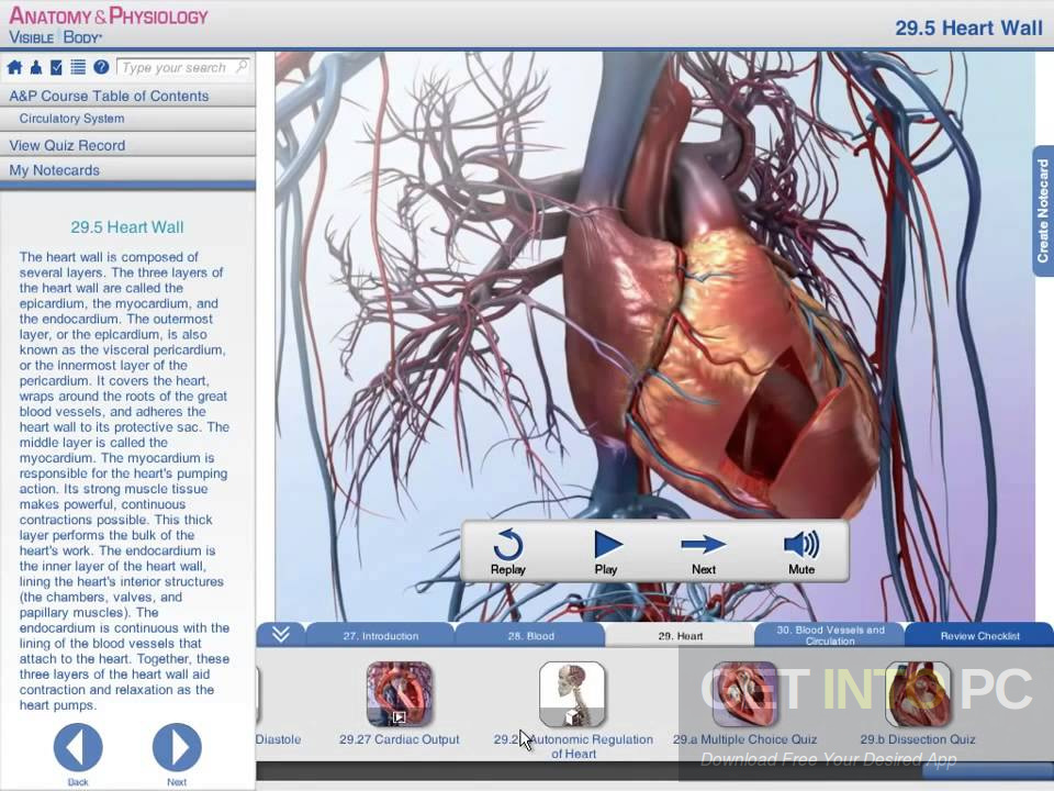 Visible Body Anatomy and Physiology Offline Installer Download