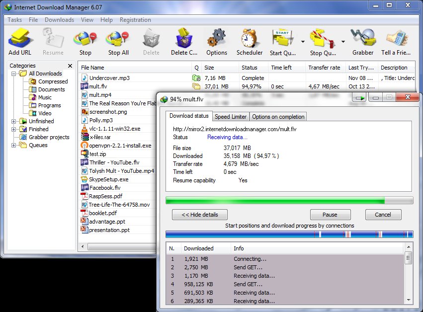 IDM Internet Download Manager 6.31 Latest Version Download