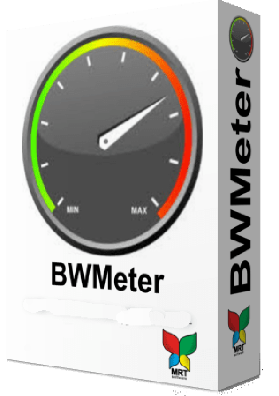 DeskSoft BWMeter 7.5.0 Free Download