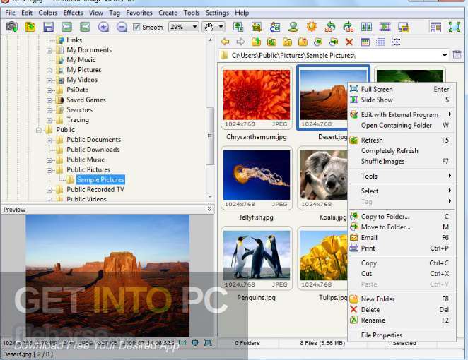 FastStone Image Viewer 6.6 Corporate Free Download