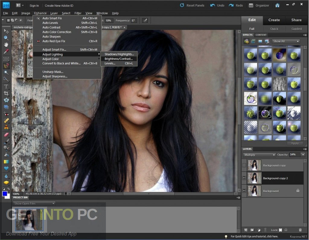 Adobe Photoshop Elements v10 Direct Link Download-GetintoPC.com