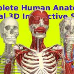 Complete Human Anatomy Primal 3D Interactive Series Download