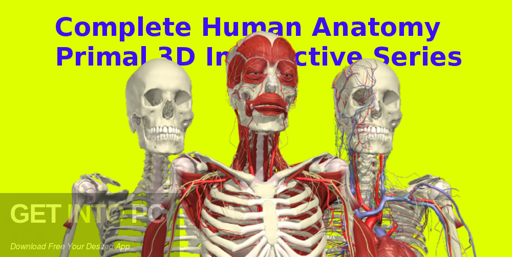 Complete Human Anatomy Primal 3D Interactive Series Free Download-GetintoPC.com
