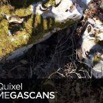 Quixel Megascans Free Download