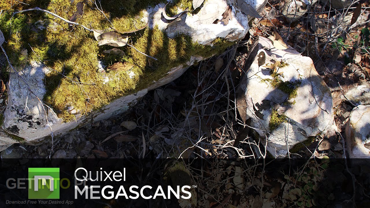 Quixel Megascans Free Download-GetintoPC.com
