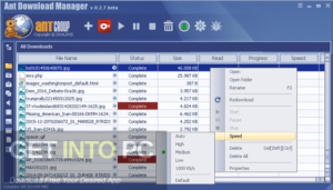 Ant Download Manager Pro 2019 Offline Installer Download-GetintoPC.com