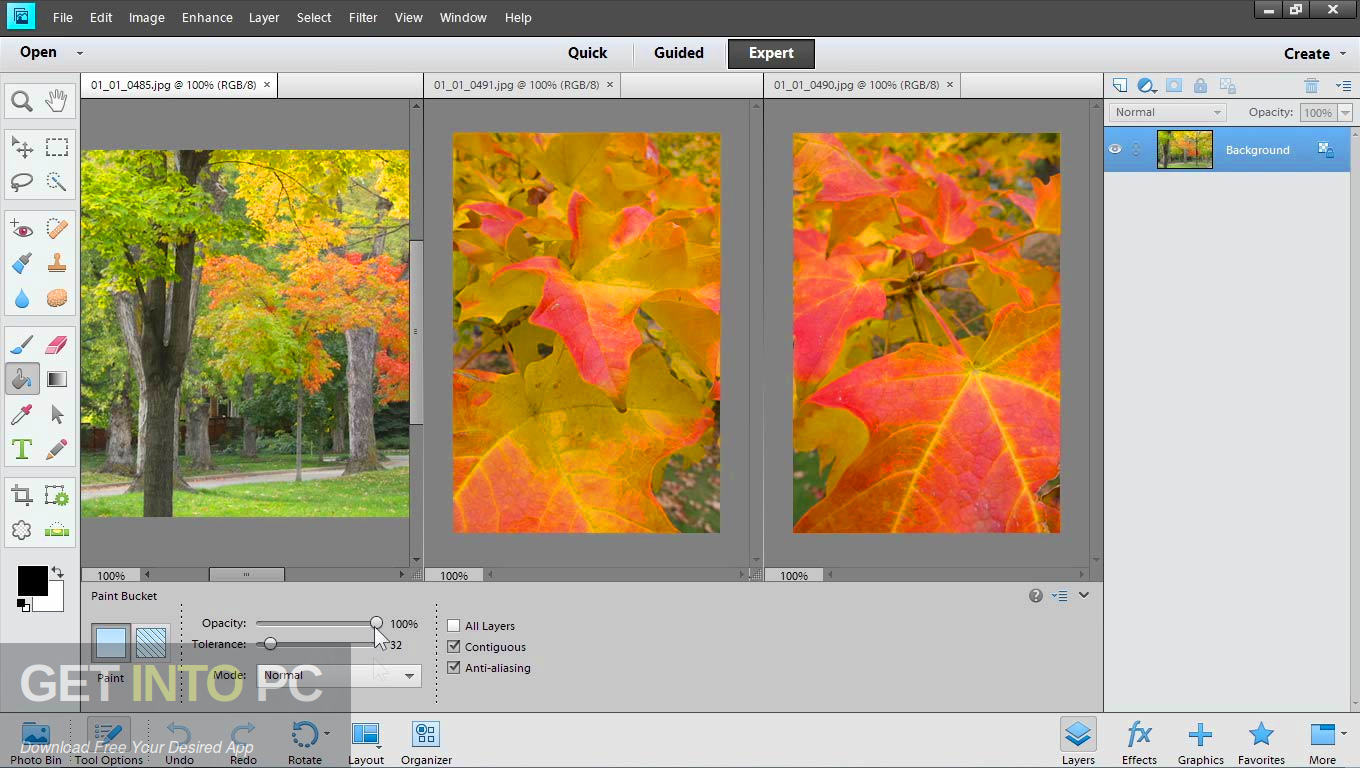 Adobe photoshop elements free download windows xp rollercoaster tycoon 3 download windows 10