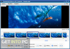 ThunderSoft GIF Converter 2019 Free Download-GetintoPC.com