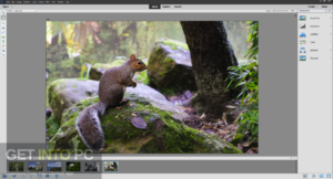 Adobe Photoshop Elements 2020 Offline Installer Download-GetintoPC.com