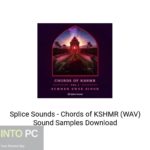 Splice Sounds – Chords of KSHMR (WAV) Sound Samples Download