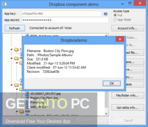 Astonsoft Dropbox Delphi Component Direct Link Download-GetintoPC.com