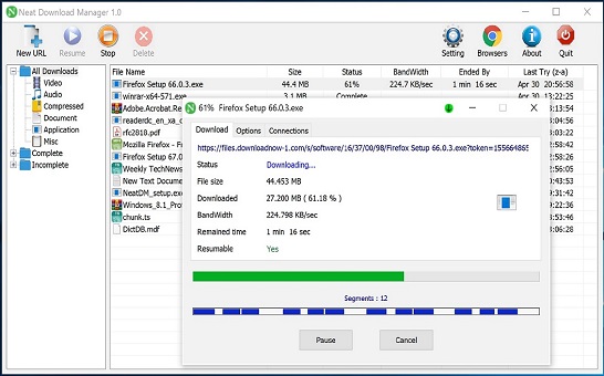 neat download manager extension