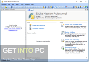 SQLite Maestro Professional Free Download-GetintoPC.com