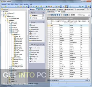 SQLite Maestro Professional Latest Version Download-GetintoPC.com