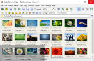 FastStone Image Viewer 2020 Direct Link Download-GetintoPC.com