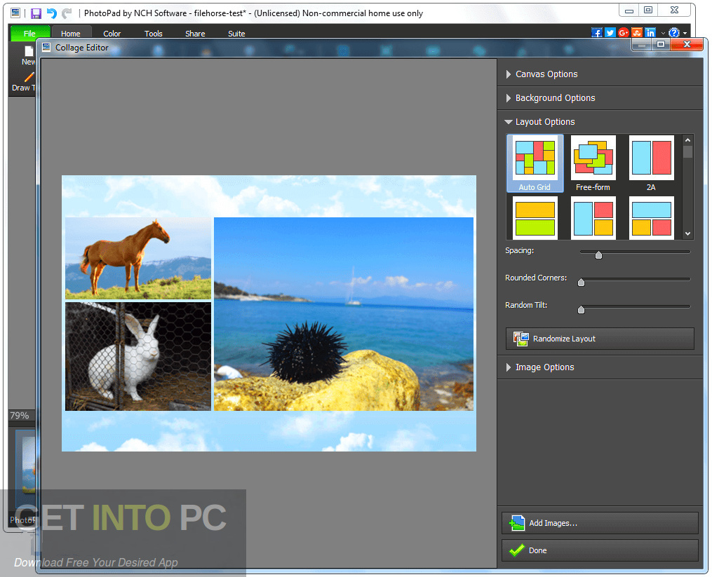 PhotoPad Image Editor 2020 Direct Link Download-GetintoPC.com