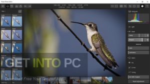Polarr Photo Editor Pro Latest Version Download-GetintoPC.com