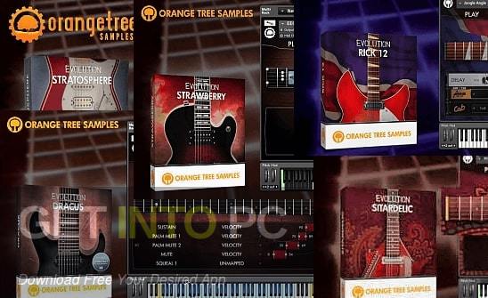 Orange Tree Samples - Evolution Rick 12 Direct Link Download