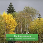 Blender Grove 6 Free Download