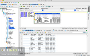DbVisualizer Pro 2020 Offline Installer Download-GetintoPC.com.jpeg