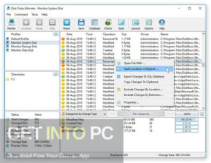 Disk Pulse Ultimate 2020 Direct Link Download-GetintoPC.com