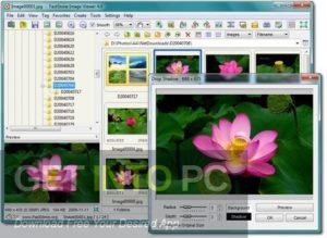 FastStone Image Viewer Corporate 2020 Direct Link Download-GetintoPC.com