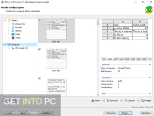 RS-Excel-Recovery-Full-Offline-Installer-Free-Download-GetintoPC.com_-jpg