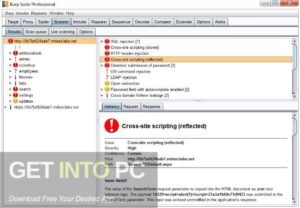 Burp Suite Professional 2021 Offline Installer Download-GetintoPC.com.jpeg