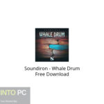 Soundiron – Whale Drum Free Download