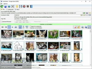 Bulk Image Downloader 2021 Direct Link Download-GetintoPC.com