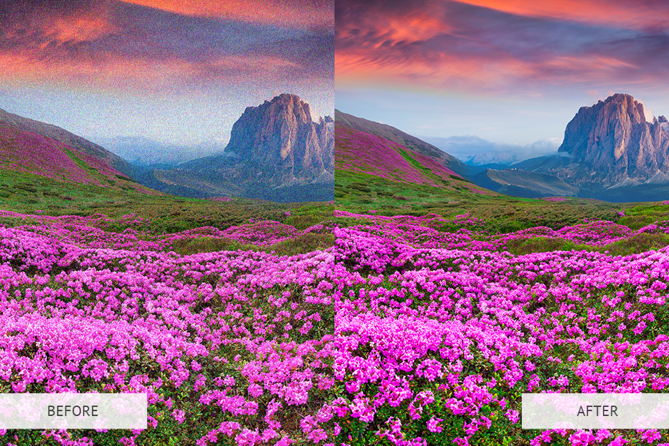 8 Must Have Photoshop Tools to Edit Blog Photos in 2021