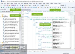 Blumentals-Rapid-PHP-2022-Direct-Link-Free-Download-GetintoPC.com_.jpg