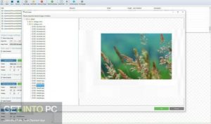 Arclab-Watermark-Studio-2022-Full-Offline-Installer-Free-Download-GetintoPC.com_.jpg