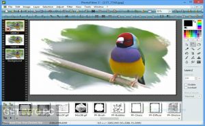 PhotoFiltre-Studio-2022-Full-Offline-Installer-Free-Download-GetintoPC.com_.jpg