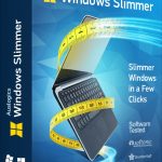 Auslogics Windows Slimmer Professional 2022 Free Download
