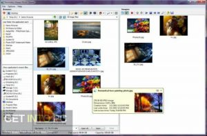 3delite-Video-File-Browser-2022-Direct-Link-Free-Download-GetintoPC.com_.jpg